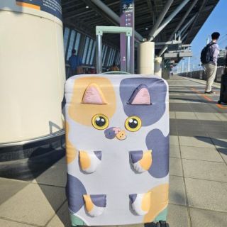 Taispo exhibition (46)